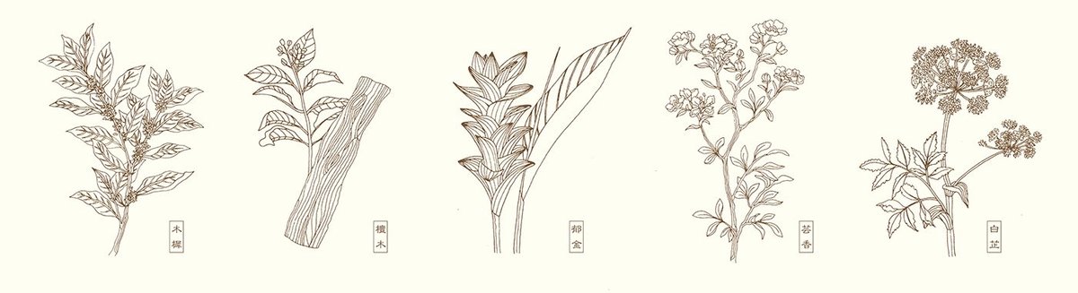 Herbscent香薰品牌形象設計