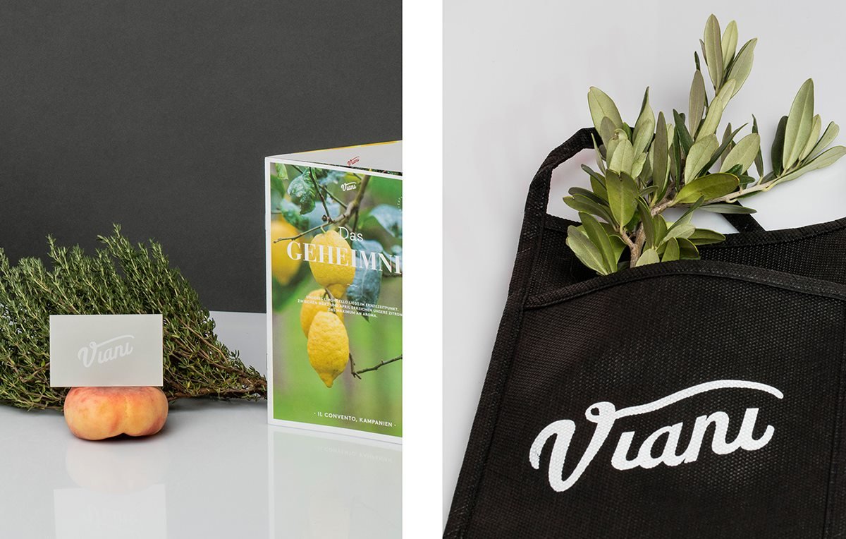 VIANI 品牌形象設(shè)計(jì)