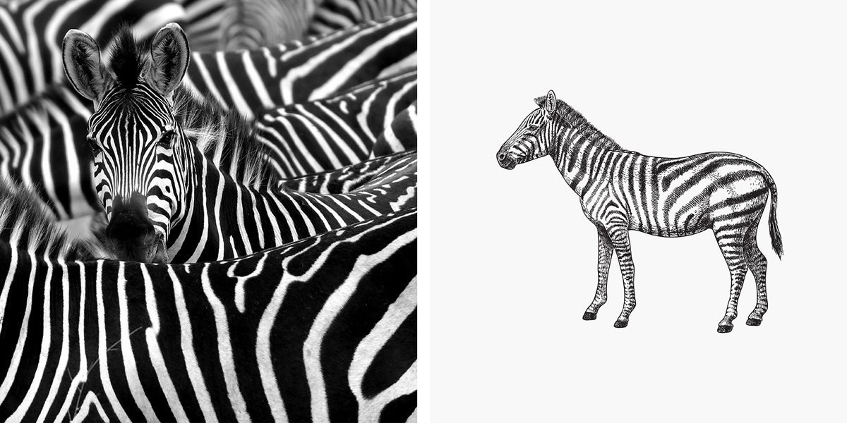 Café Prado  咖啡品牌形象設計