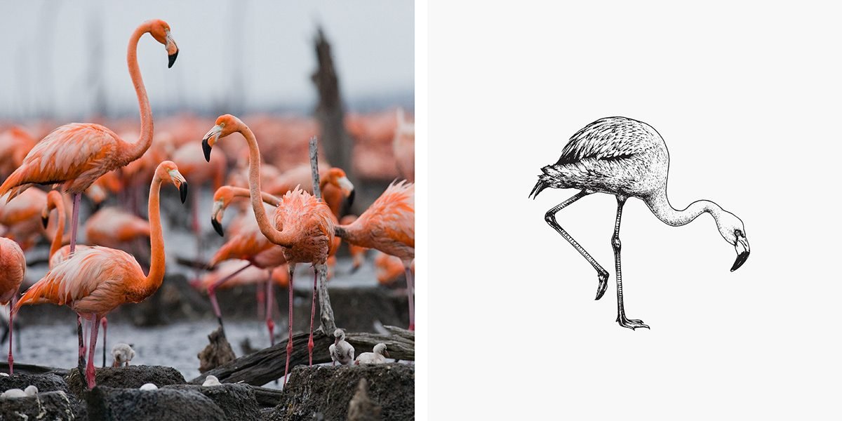 Café Prado  咖啡品牌形象設計 插畫設計