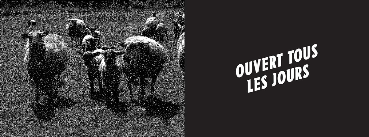 AuMarchénoir餐廳品牌形象設(shè)計(jì) 羊毛產(chǎn)地展示