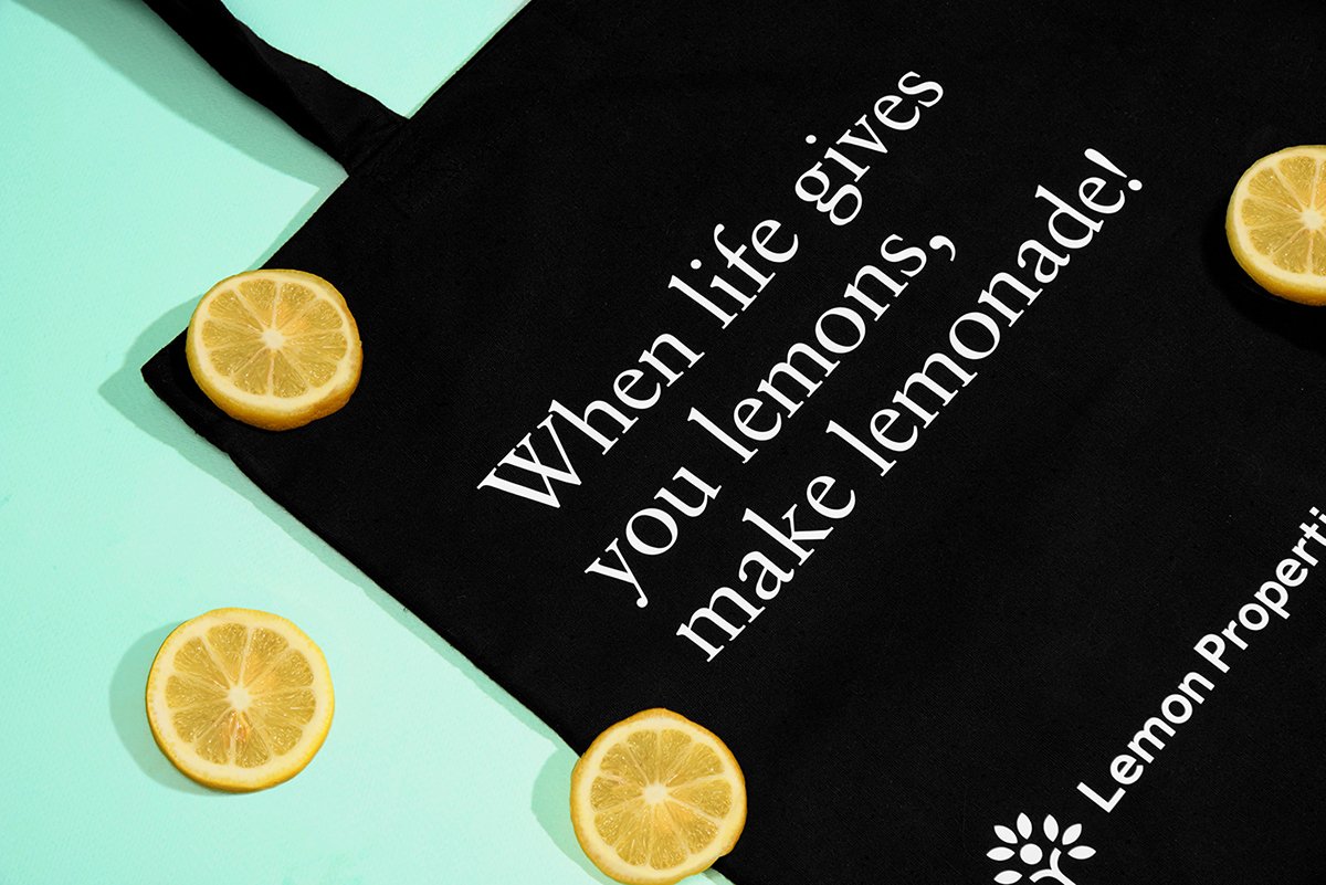 深圳VI設(shè)計(jì)  深圳VI策劃  檸檬房地產(chǎn)VI形象設(shè)計(jì)  手提袋設(shè)計(jì)