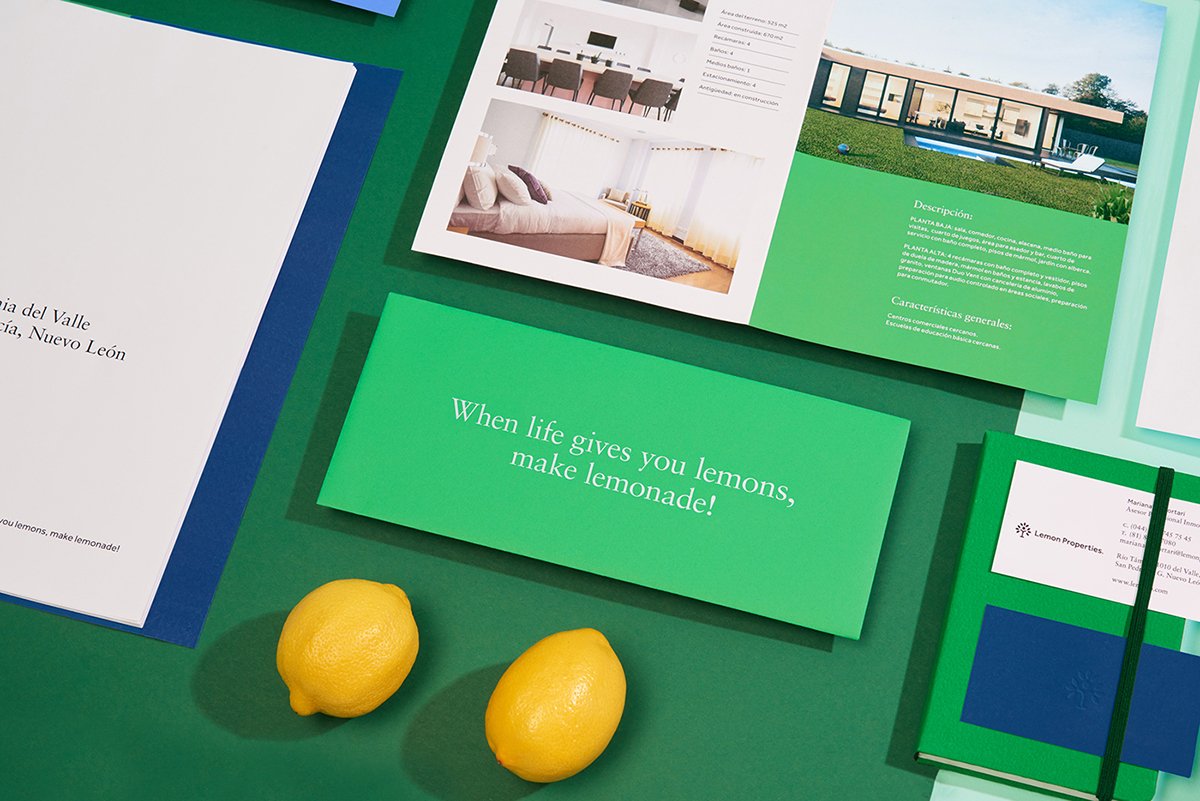 深圳VI設(shè)計(jì)  深圳VI策劃  檸檬房地產(chǎn)VI形象設(shè)計(jì)  單頁(yè)設(shè)計(jì)