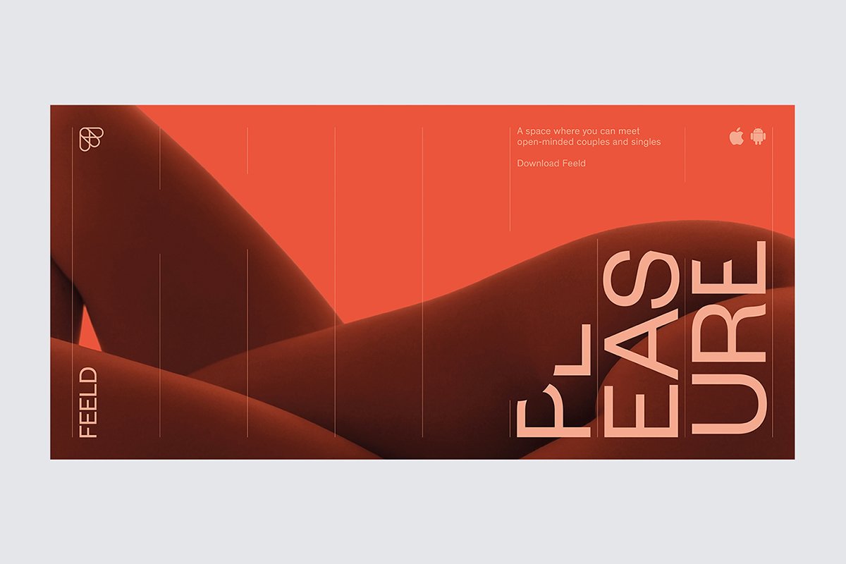 深圳VI設計  深圳VI策劃  Feeld網絡平臺VI設計  海報設計