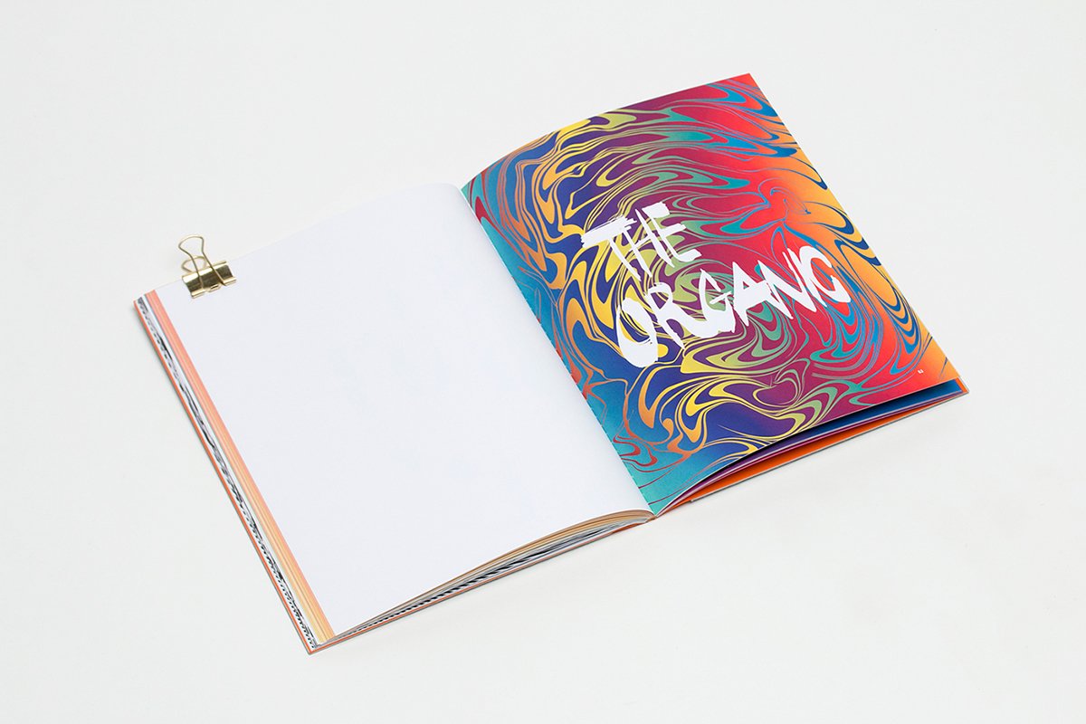 深圳VI設計 深圳VI策劃 VI形象設計中的視覺識別的學位項目 畫冊設計