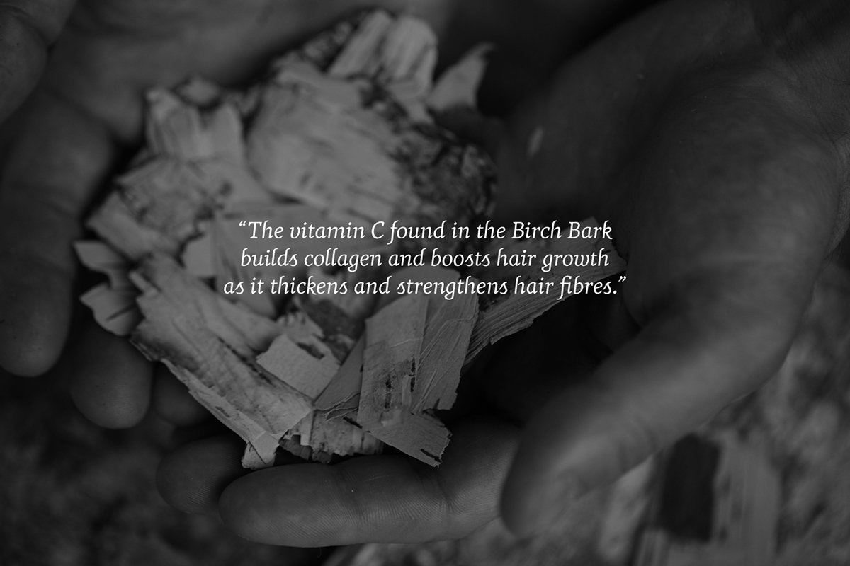 深圳VI設(shè)計  深圳VI策劃  Wise高端護(hù)理產(chǎn)品VI設(shè)計形象   場景展示