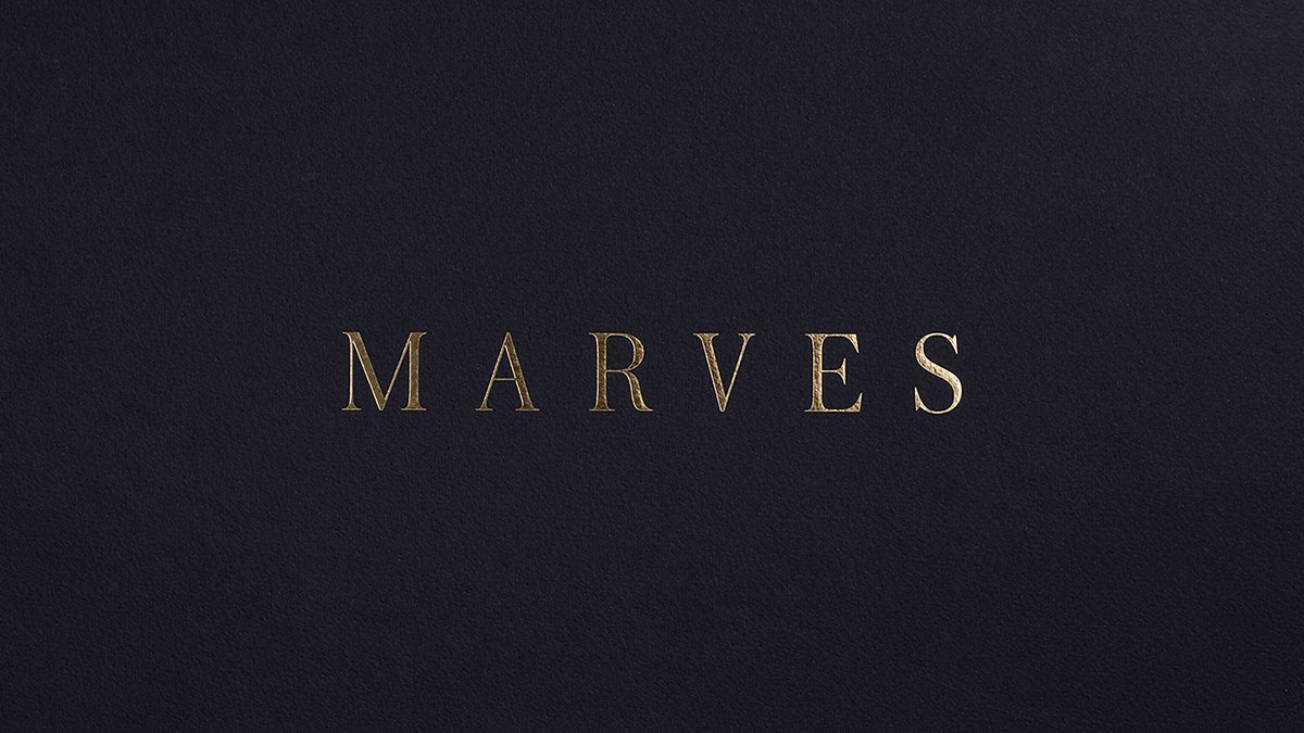 5組國際時尚服裝品牌vi設計案例合集，服裝品牌vi設計，深圳vi設計，左右格局