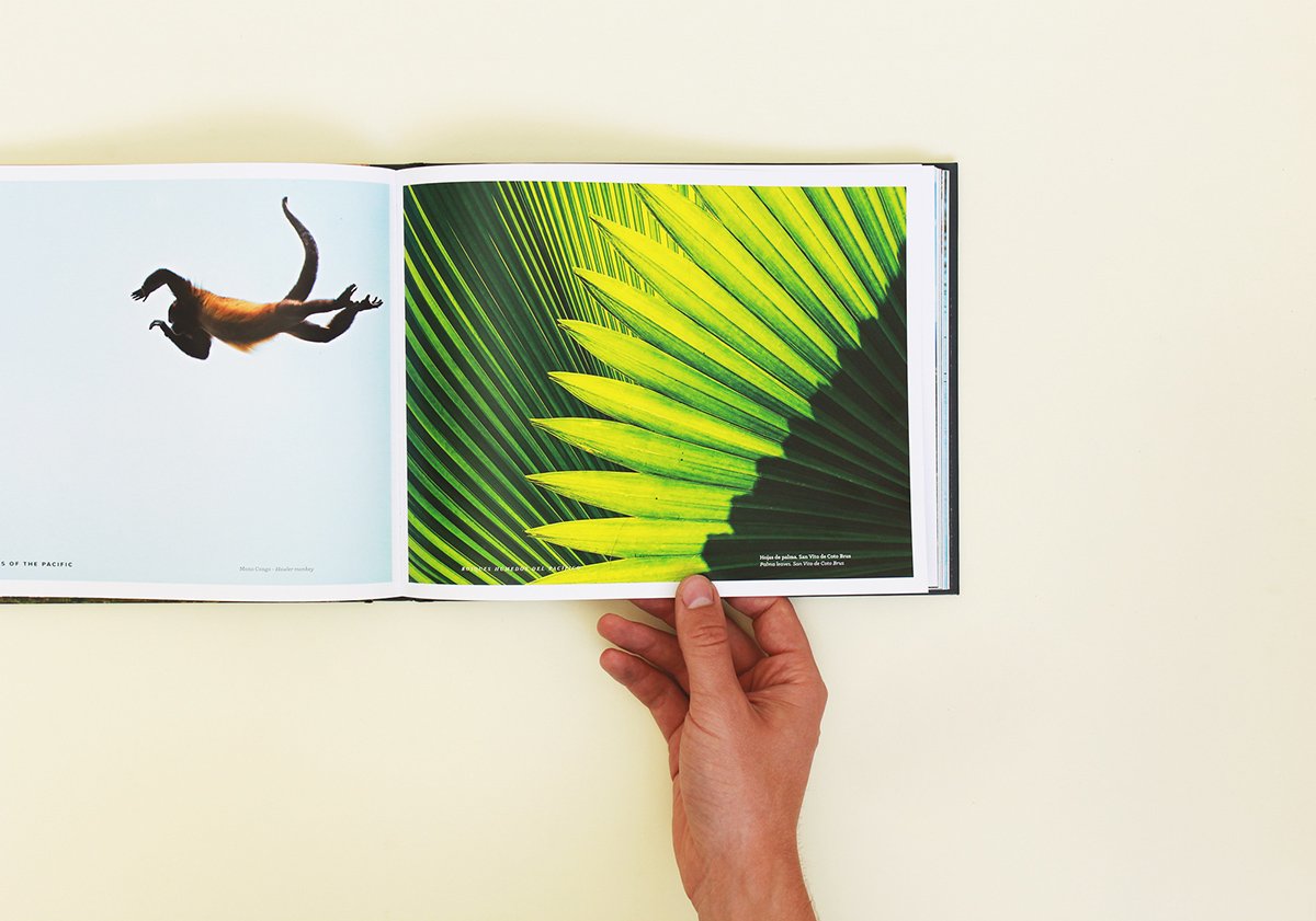 深圳VI設(shè)計(jì) 深圳VI策劃 魔法森林自然畫(huà)冊(cè)設(shè)計(jì) 畫(huà)冊(cè)設(shè)計(jì)