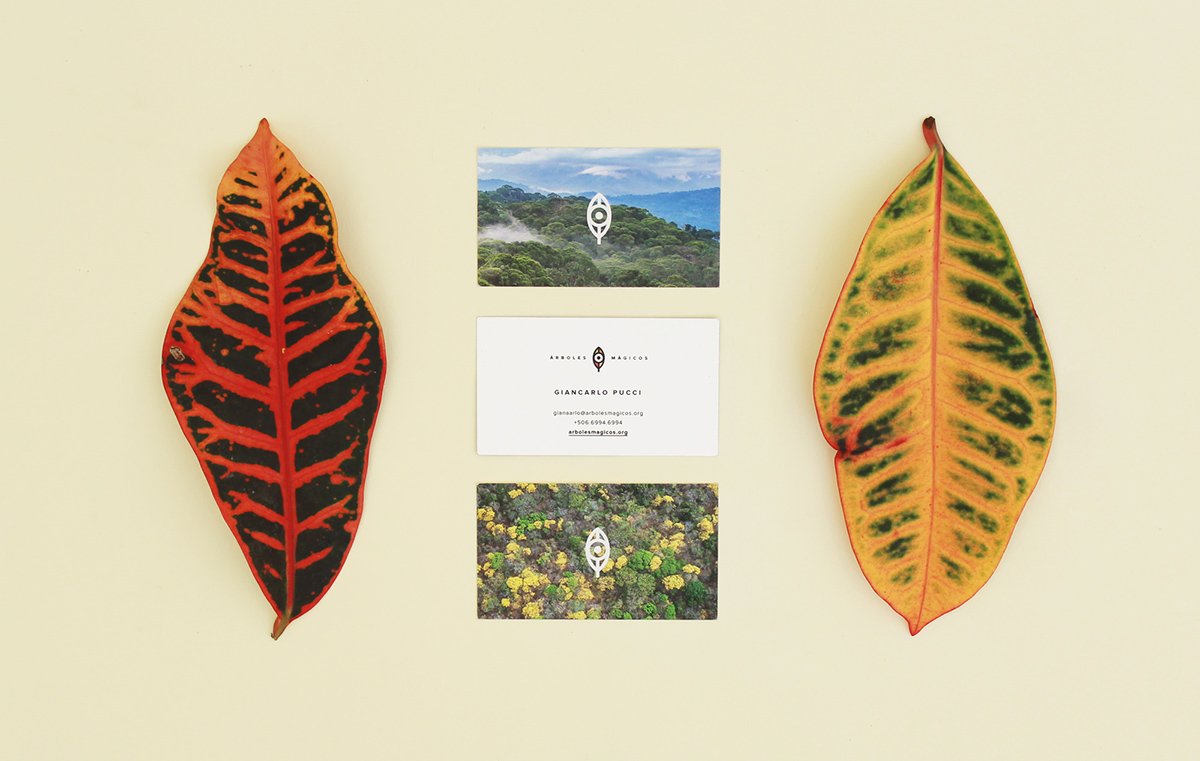 深圳VI設(shè)計(jì) 深圳VI策劃 魔法森林自然畫(huà)冊(cè)設(shè)計(jì) 畫(huà)冊(cè)設(shè)計(jì)