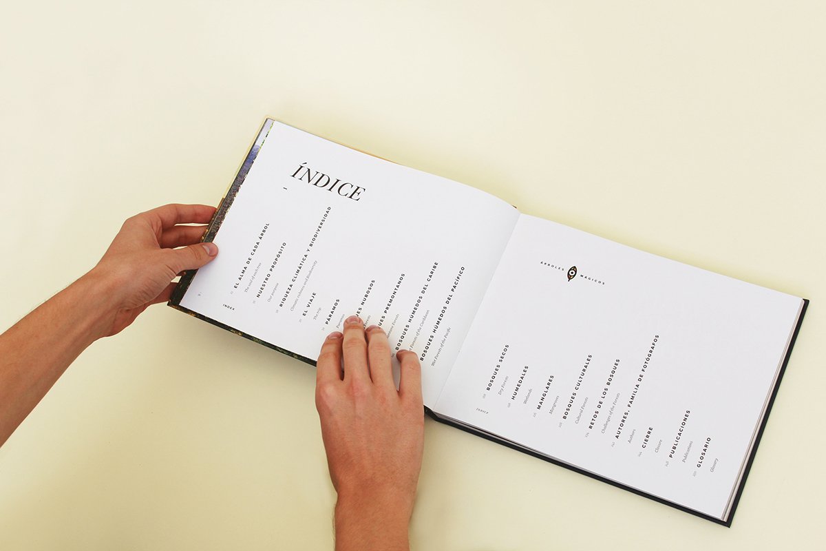 深圳VI設(shè)計(jì) 深圳VI策劃 魔法森林自然畫(huà)冊(cè)設(shè)計(jì) 畫(huà)冊(cè)設(shè)計(jì)