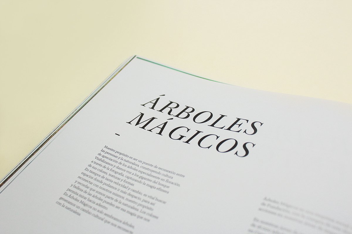 深圳VI設(shè)計(jì) 深圳VI策劃 魔法森林自然畫(huà)冊(cè)設(shè)計(jì) 畫(huà)冊(cè)設(shè)計(jì)