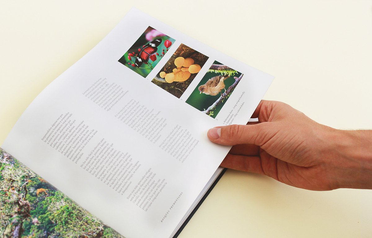 深圳VI設(shè)計(jì) 深圳VI策劃 魔法森林自然畫(huà)冊(cè)設(shè)計(jì) 畫(huà)冊(cè)設(shè)計(jì)