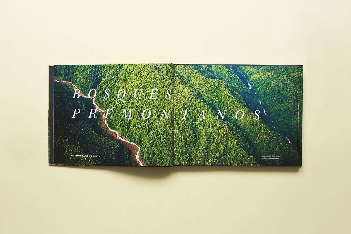 深圳VI設(shè)計(jì) 深圳VI策劃 魔法森林自然畫(huà)冊(cè)設(shè)計(jì) 畫(huà)冊(cè)設(shè)計(jì)