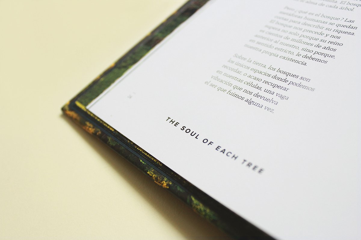 深圳VI設(shè)計(jì) 深圳VI策劃 魔法森林自然畫(huà)冊(cè)設(shè)計(jì) 畫(huà)冊(cè)設(shè)計(jì)