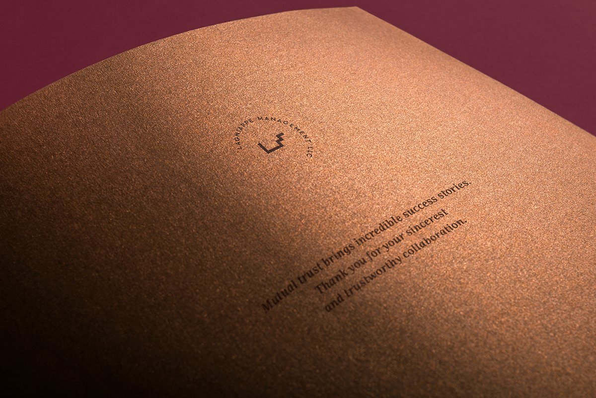 Lagniappe Management國際投資公司vi設(shè)計欣賞 Lagniappe Management國際投資公司vi設(shè)計欣賞,金融公司vi設(shè)計,視覺識別設(shè)計,深圳vi設(shè)計,包裝設(shè)計,名片設(shè)計,左右格局