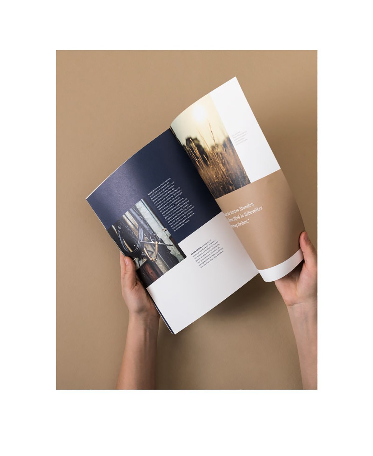 動(dòng)物火葬場(chǎng)品牌vi設(shè)計(jì)欣賞，vi設(shè)計(jì)，動(dòng)物火葬場(chǎng)vi設(shè)計(jì)，深圳vi設(shè)計(jì)，品牌形象設(shè)計(jì)，左右格局