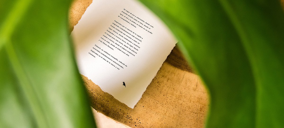 Colonté Hotel Origen酒店vi形象圖形設(shè)計(jì)，vi設(shè)計(jì)，品牌vi設(shè)計(jì)，酒店vi形象設(shè)計(jì)，酒店vi設(shè)計(jì)，酒店圖形設(shè)計(jì)，深圳vi設(shè)計(jì)，左右格局