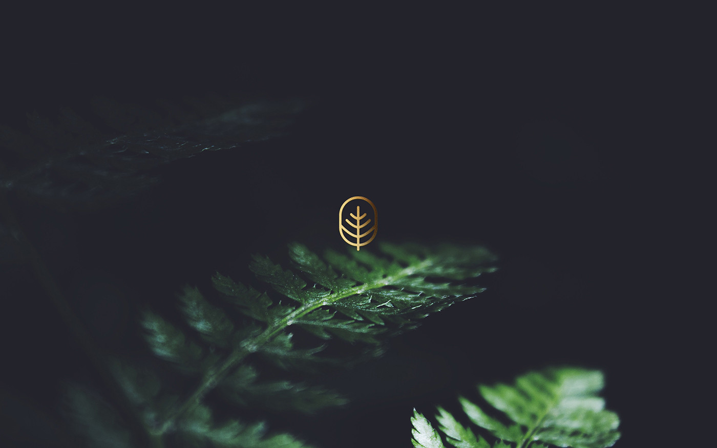 著名國外醫(yī)療機(jī)構(gòu)vi設(shè)計(jì)——企業(yè)logo識(shí)別系統(tǒng)展示，醫(yī)療企業(yè)vi設(shè)計(jì)，企業(yè)logo設(shè)計(jì)，品牌策劃，深圳vi設(shè)計(jì)，左右格局