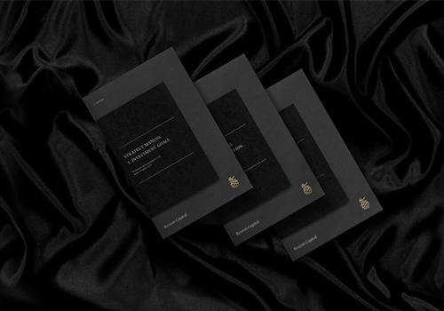 國際金融投資企業(yè)VI形象設(shè)計案例合集