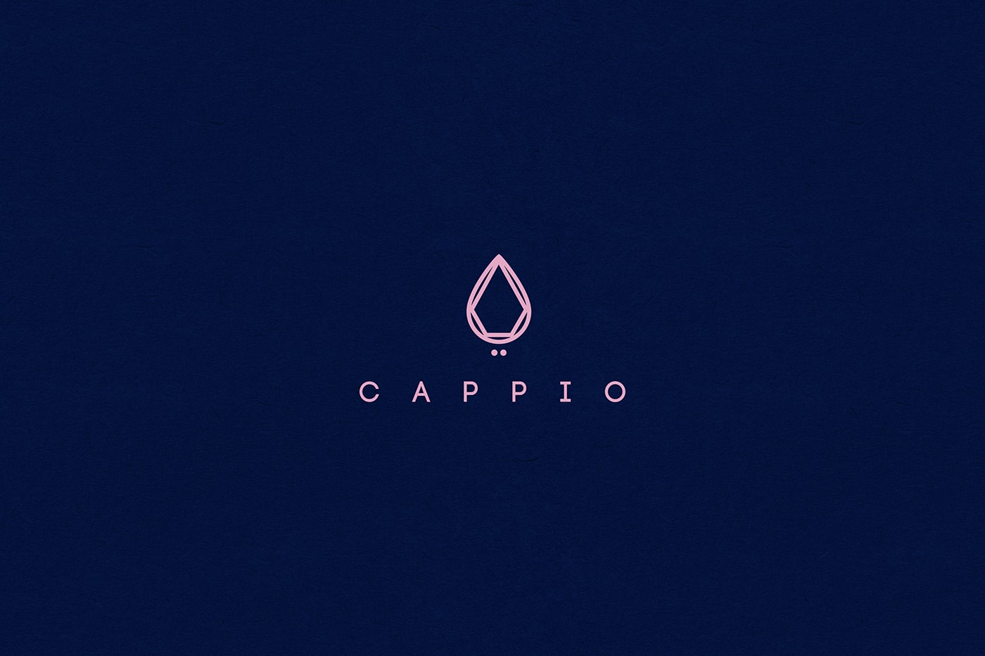 Cappio 服裝珠寶企業(yè)品牌全案策劃案例，服裝VI設(shè)計，品牌全案策劃，企業(yè)形象設(shè)計，深圳VI設(shè)計，左右格局