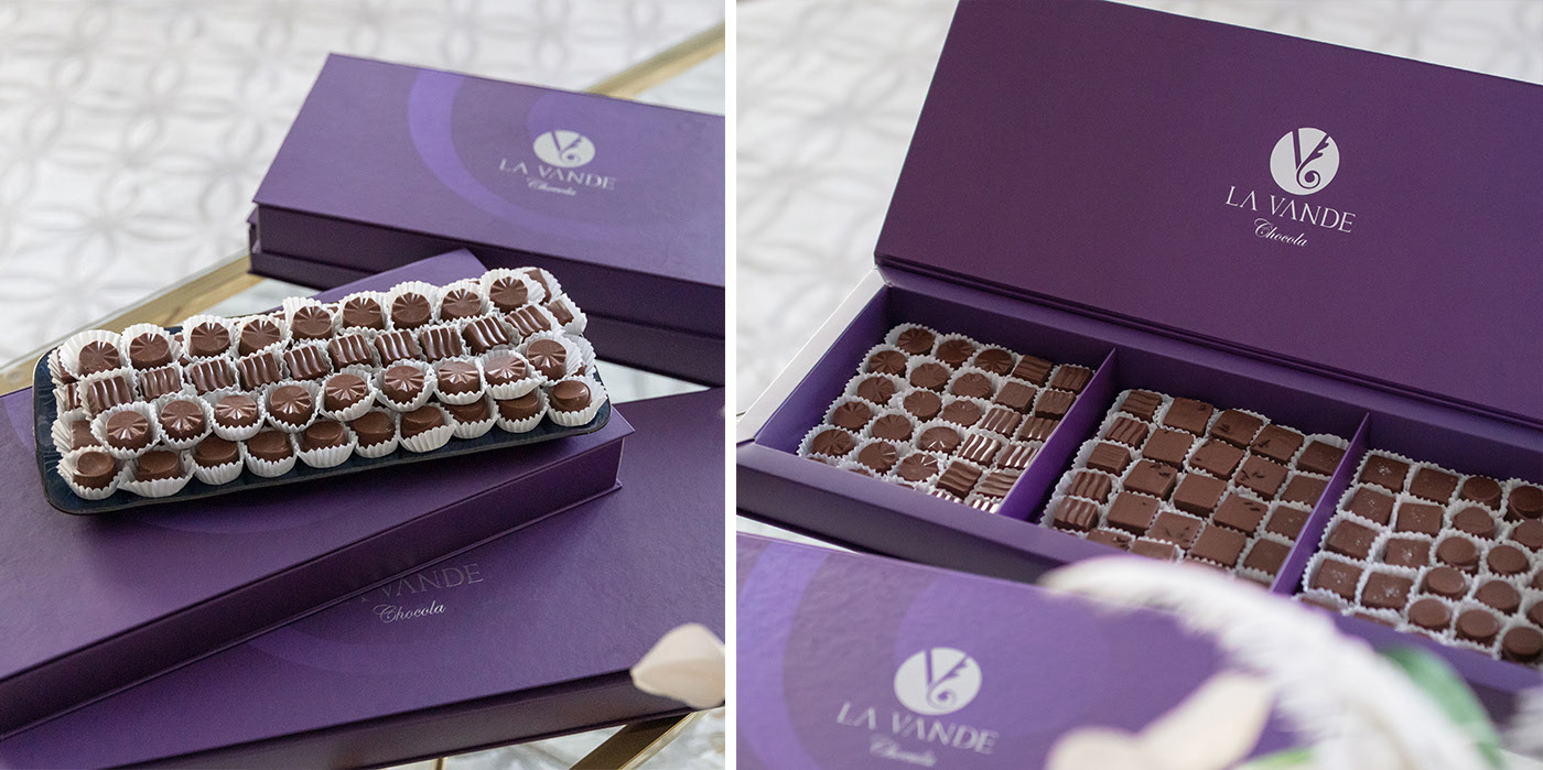 巧克力vi設計，深圳食品vi設計，食品vi形象設計，深圳vi設計公司