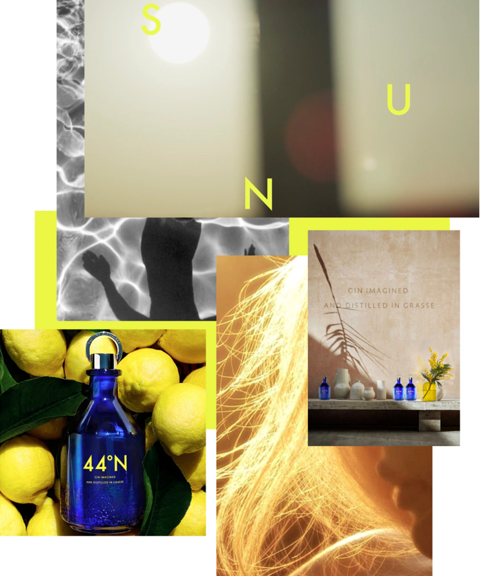 北緯44°N杜松子酒 北緯44°N杜松子酒