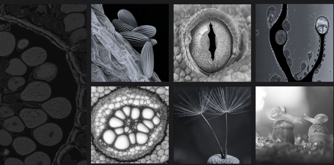 Vsense，從0到1的時(shí)尚品牌孵化