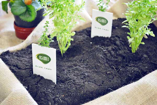 鄉喜液體肥品牌整合塑造-傳統行業的創新啟鳴！