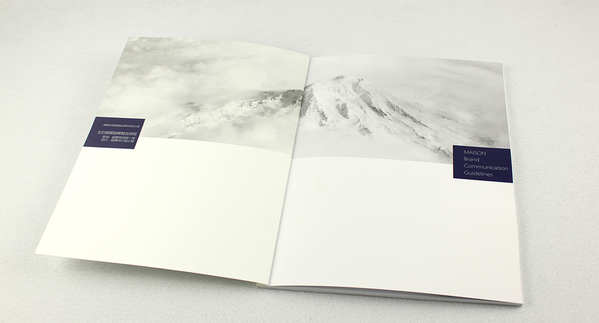 麥星投資金融品牌形象設計