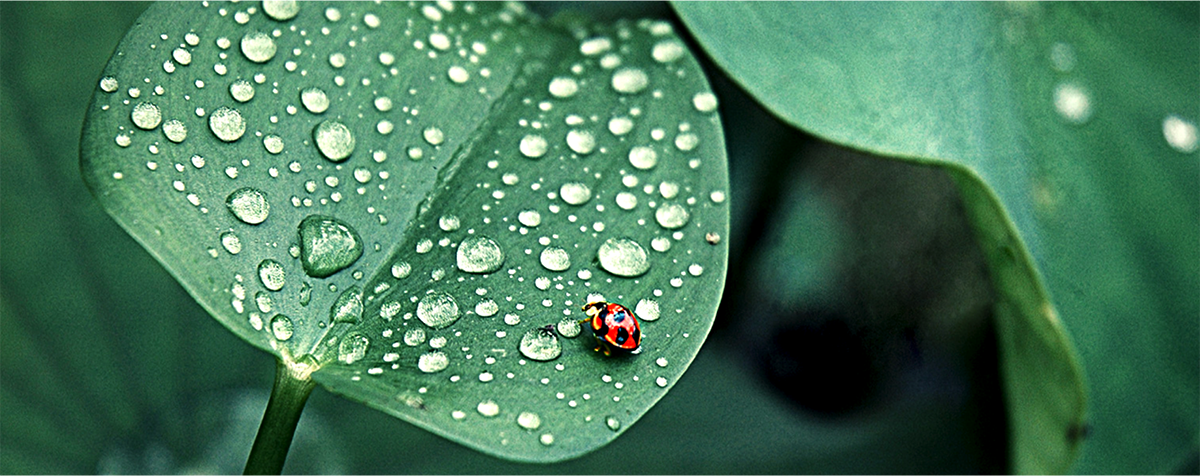 ipo上市包裝(納米高科技) ipo上市包裝(納米高科技)