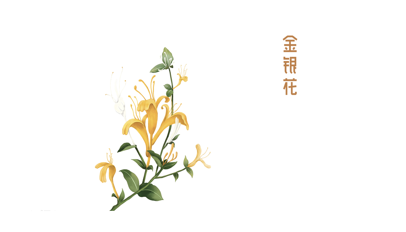 寶瓶堂傳統(tǒng)滋補行業(yè)品牌戰(zhàn)略升級-左右格局 寶瓶堂傳統(tǒng)滋補行業(yè)品牌戰(zhàn)略升級-左右格局