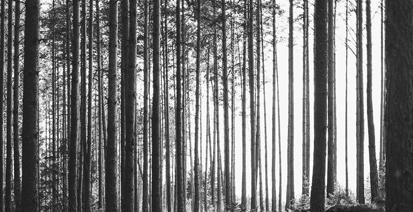 洗護品牌如何構建價值認同?——度樸植物氨基酸洗發水案例解析 洗護品牌如何構建價值認同?——度樸植物氨基酸洗發水案例解析